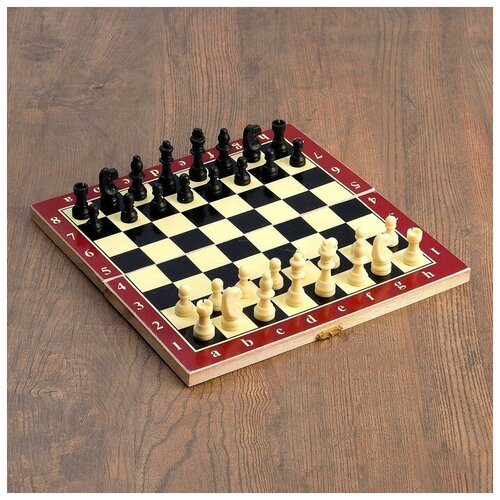 Настольная игра 3 в 1 Карнал: нарды, шахматы, шашки, фишки дерево, фигуры пластик, 29 х 29 см 2731