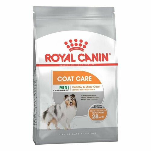 ROYAL CANIN MINI COAT CARE 1 кг сухой корм для собак мелких пород с тусклой и сухой шерстью 5 шт