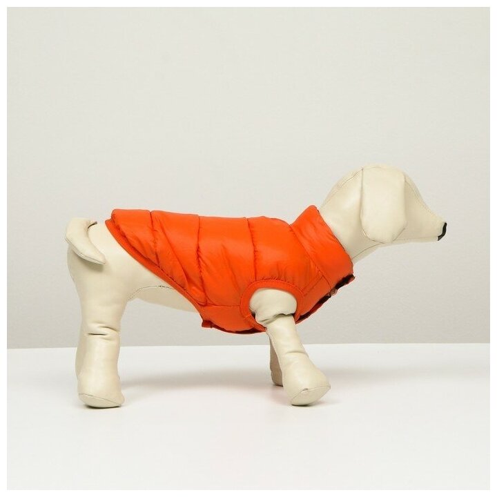 Куртка для собак КНР двухсторонняя, размер 16, спинка 36 см, грудь 46 см, шея 35 см, коралловая - фотография № 14