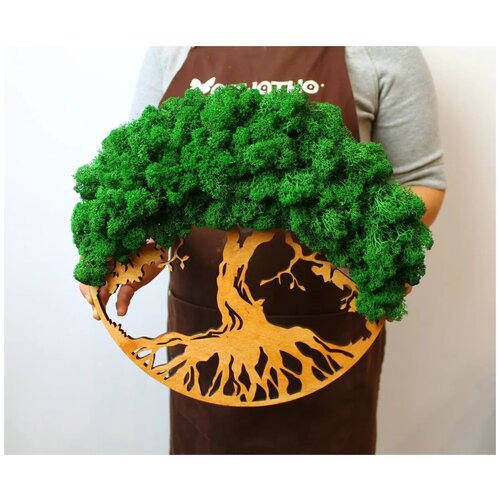 Панно из мха 