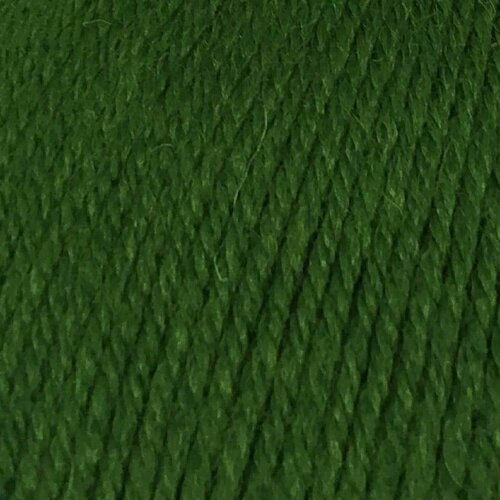 Пряжа Color City Венецианская осень зеленый (2416), 85%мериносовая шерсть/15%акрил, 230м, 100г, 1шт