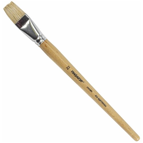 Кисть пифагор, щетина, плоская, № 22, деревянная лакированная ручка, пакет с подвесом, 200880 (цена за 10 шт)