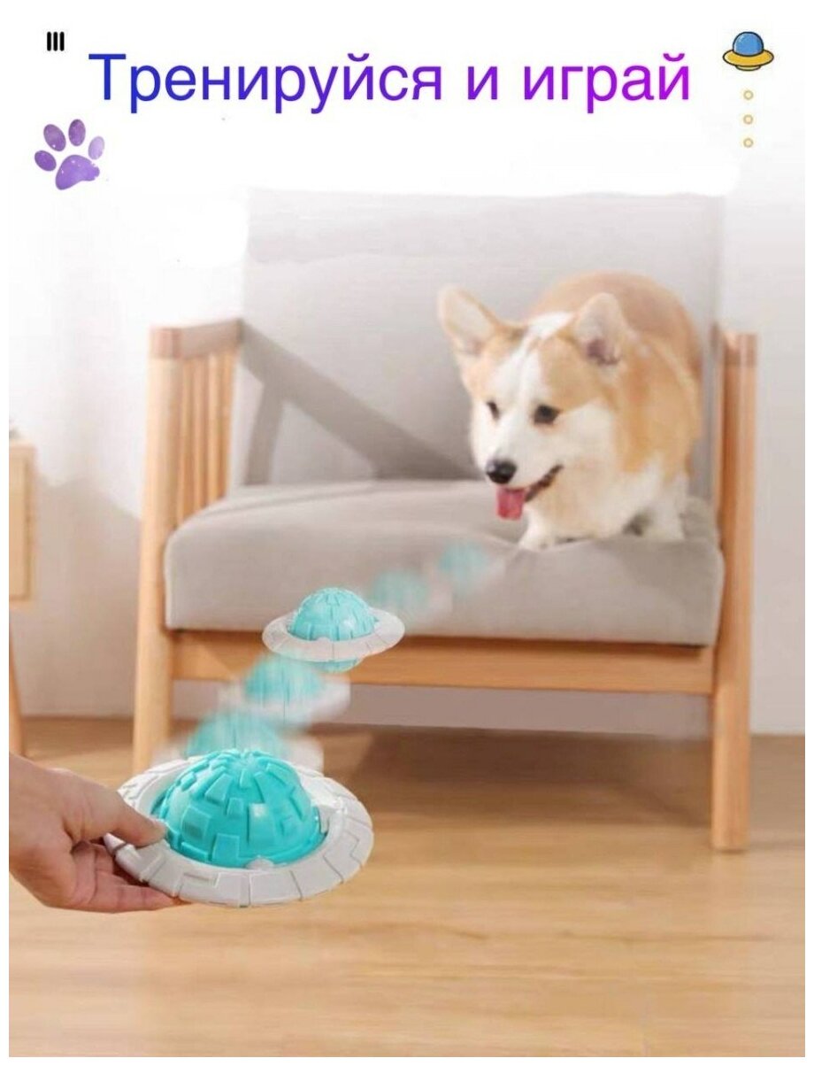 Фрисби для собак, летающий мяч, игрушка кусалка для собак с пищалкой - фотография № 5