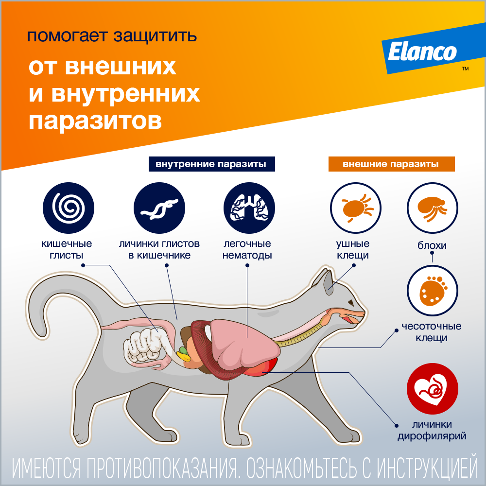 Адвокат кошки (Elanco) - капли на холку от чесоточных клещей, блох и гельминтов для кошек от 4 кг до 8кг –  3 пипетки