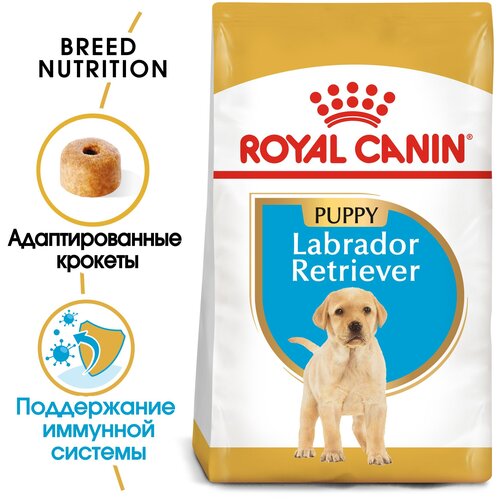 Royal Canin RC Для щенков Лабрадора: до 15мес. (Labrador Retriever puppy 33) 24910300R2 3 кг 11159 (2 шт)