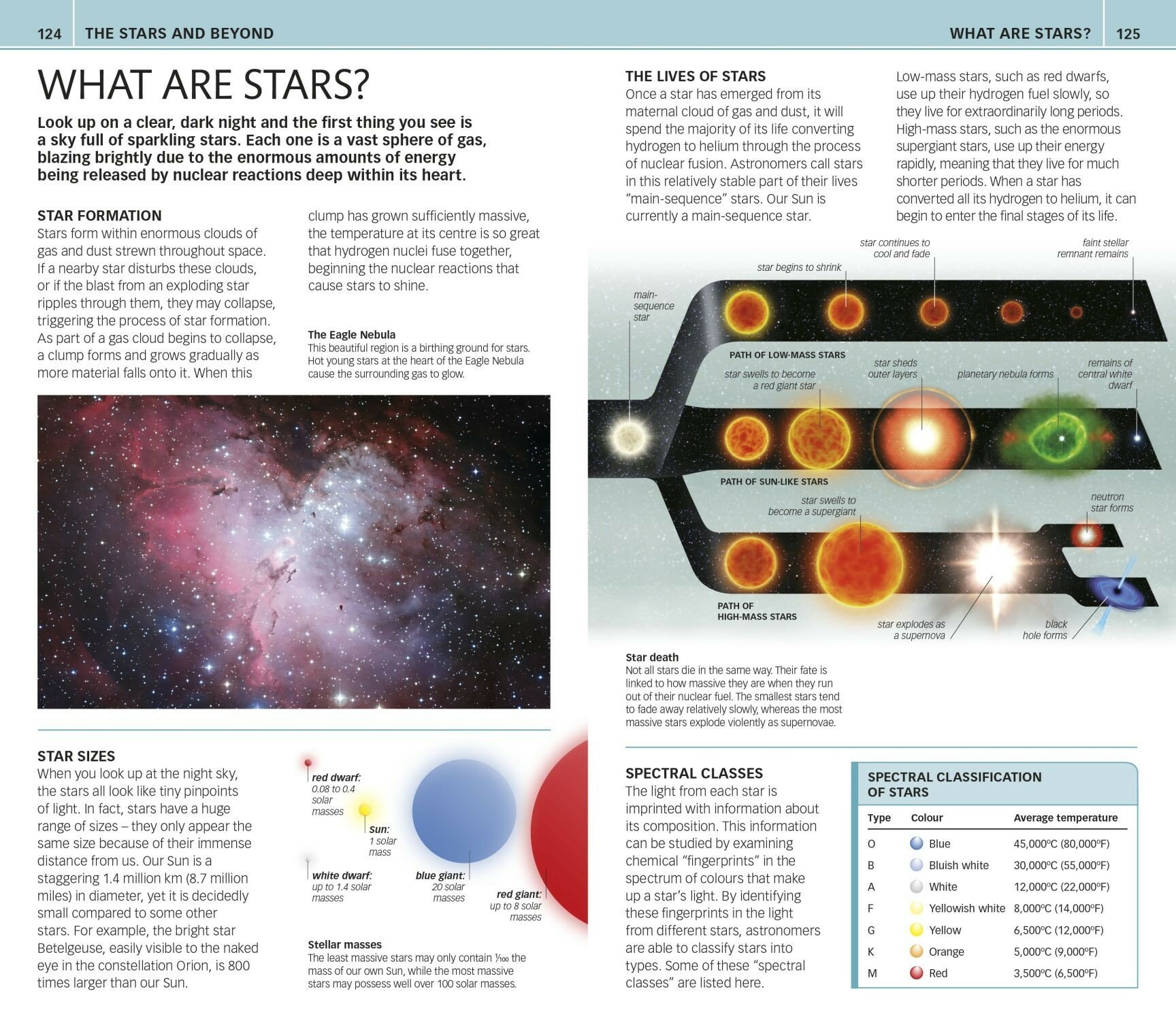 Nature Guide Stars and Planets - фото №5