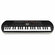 Casio SA-81 синтезатор с автоаккомпанементом, 44 мини-клавиши, 32 полифония, 100...