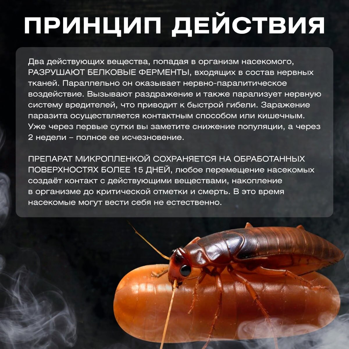 Средство от тараканов, клопов и других насекомых "Титанопик", 100 мл — фото 1