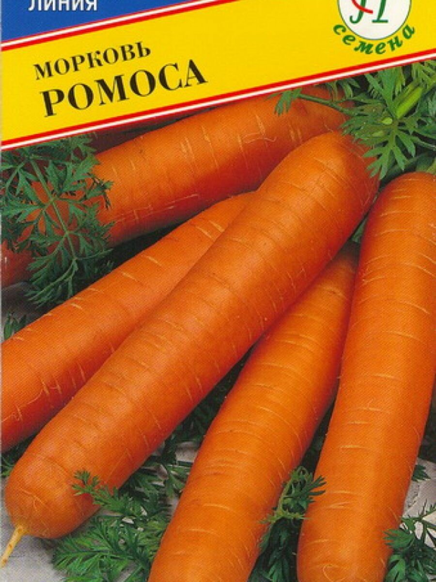 Семена Морковь 