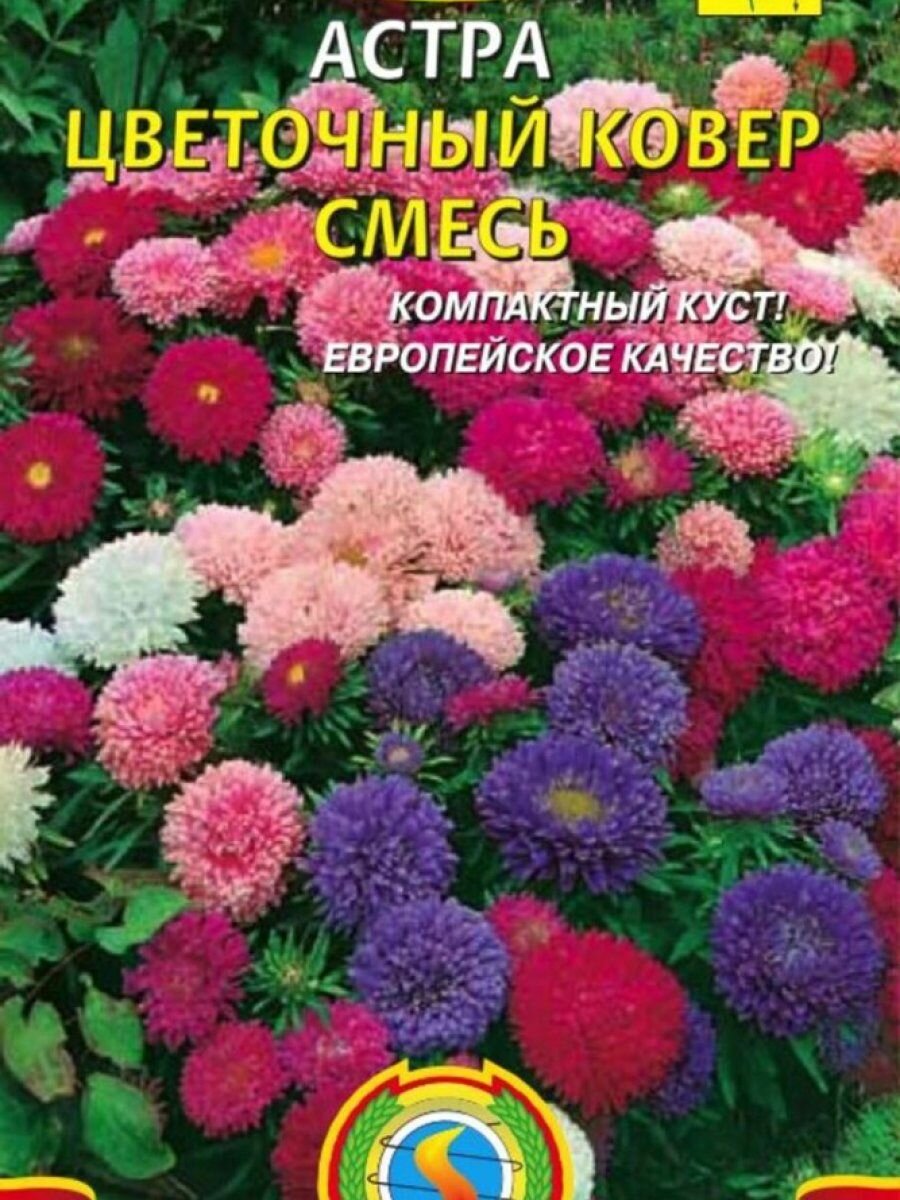 Семена Астра Цветочный ковер смесь 02 гр Плазменные семена