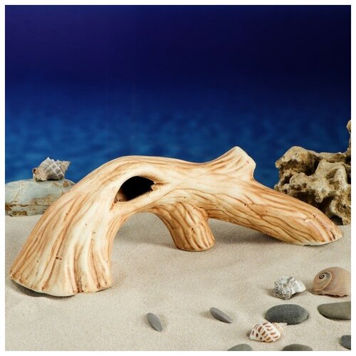 Декорация для аквариума 