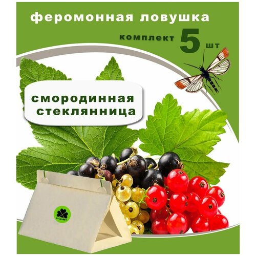 Феромонная ловушка смородинная стеклянница комплект 5 штук Сельпо