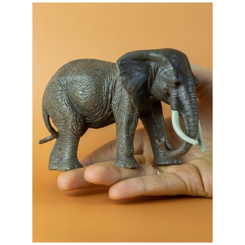 Фигурка Derri Animals Африканский слон, самка, Derri Animals