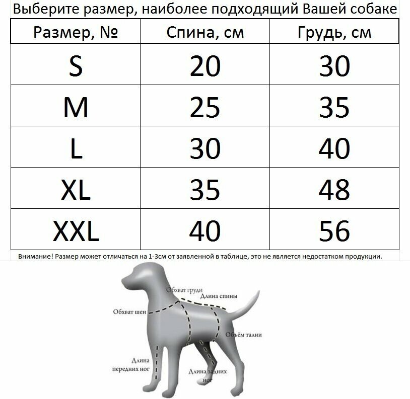 Одежда для собак. Толстовка "Bichon" (40см ) - фотография № 4