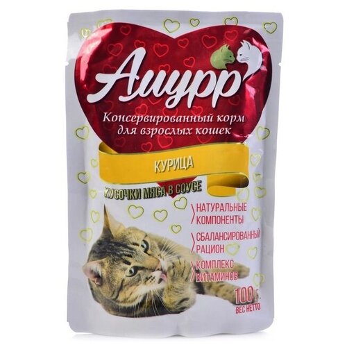 Амурр консерв. 100гр для кошек кус-ки в соусе Курица 124 (26 шт) амурр консерв 100гр для кошек кус ки в соусе курица 124 2 шт