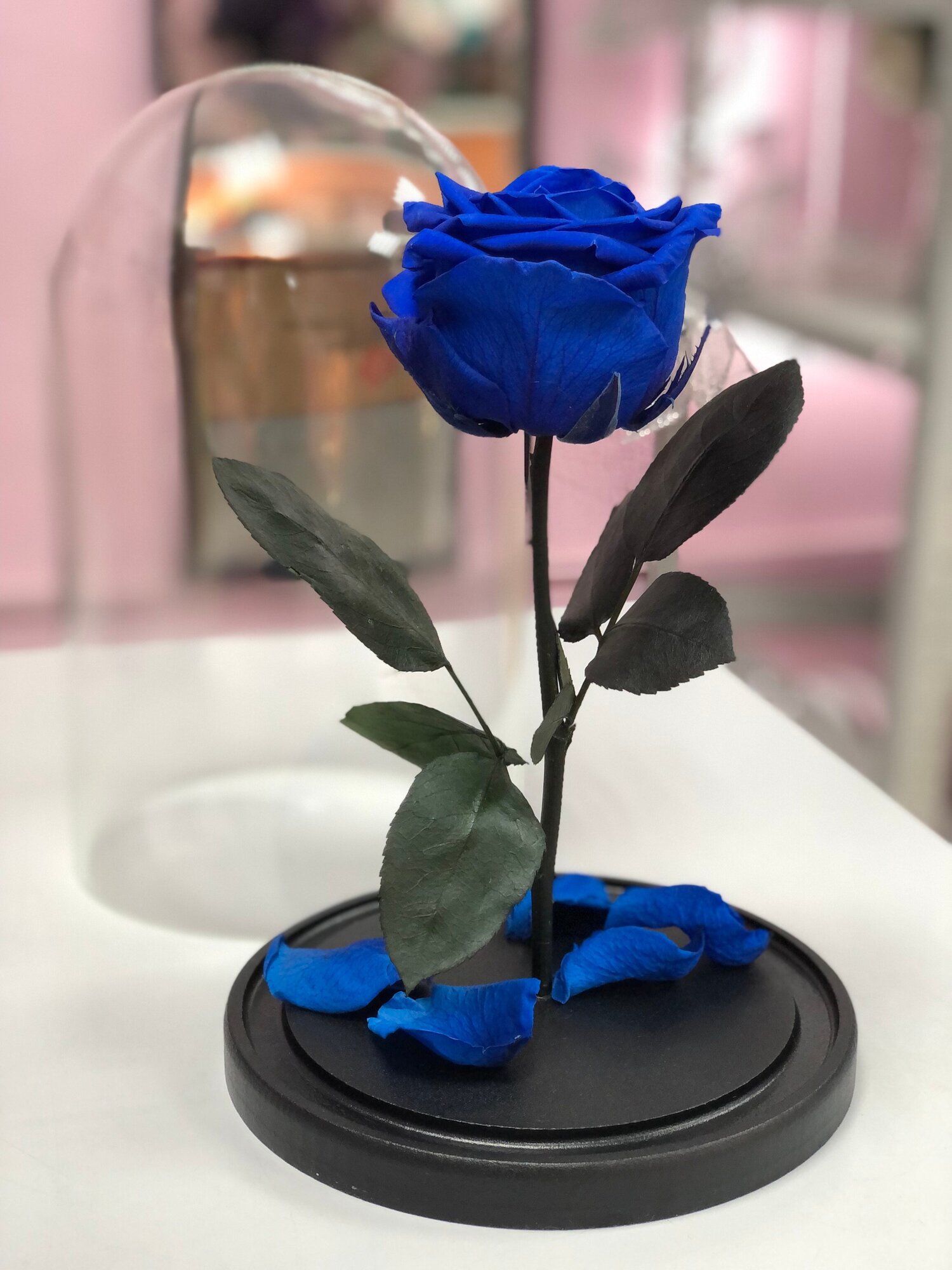 Синяя роза в колбе "Премиум" с подарочной коробкой/26 см