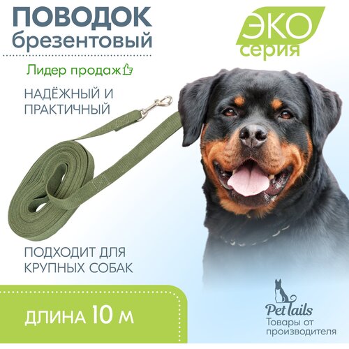 Поводок для собак 10м, поводок брезентовый 