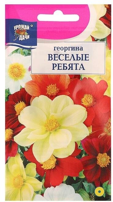 Семена цветов Цв Георгина Смесь "Весёлые ребята",0,2 гр