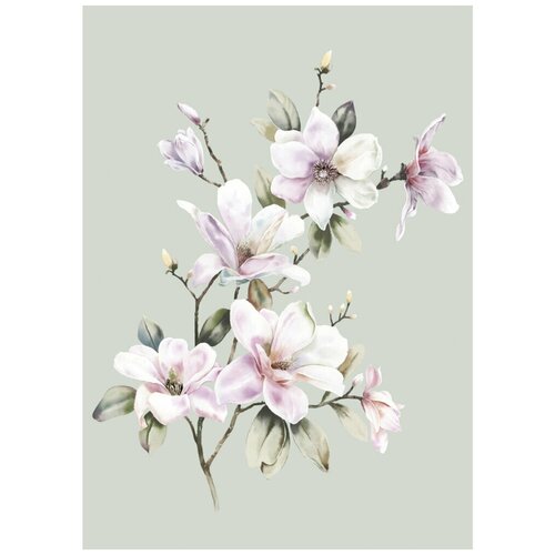 Картина на холсте Ветка магнолии 50х70 см 3197₽