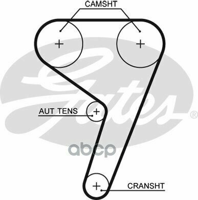 Ремень Грм Gates арт. 5669XS