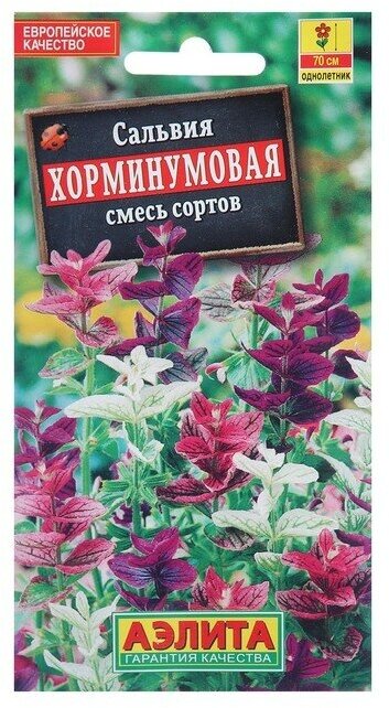 Агрофирма аэлита Семена цветов Сальвия Хорминумовая смесь окрасок О 03 г