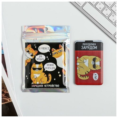 Зарядное устройство Переполнен зарядом 2500 mAh 6 х 95 см 114400₽