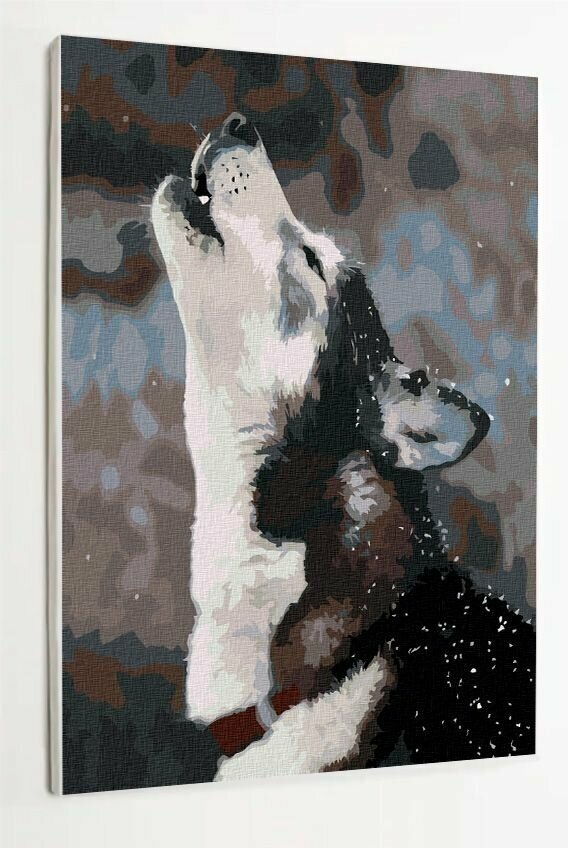 Картина по номерам на холсте с подрамником, Собака Хаски, 40х50 см