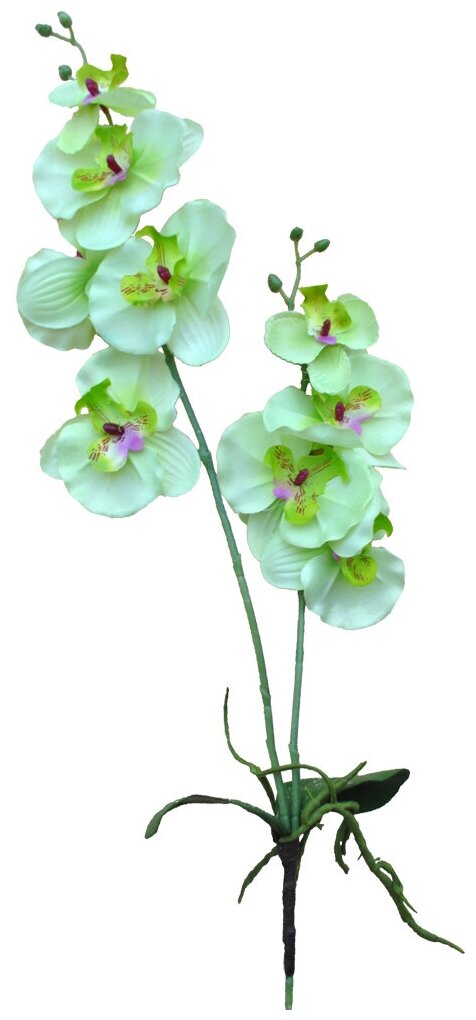 Искусственные цветы Орхидея от бренда Holodilova