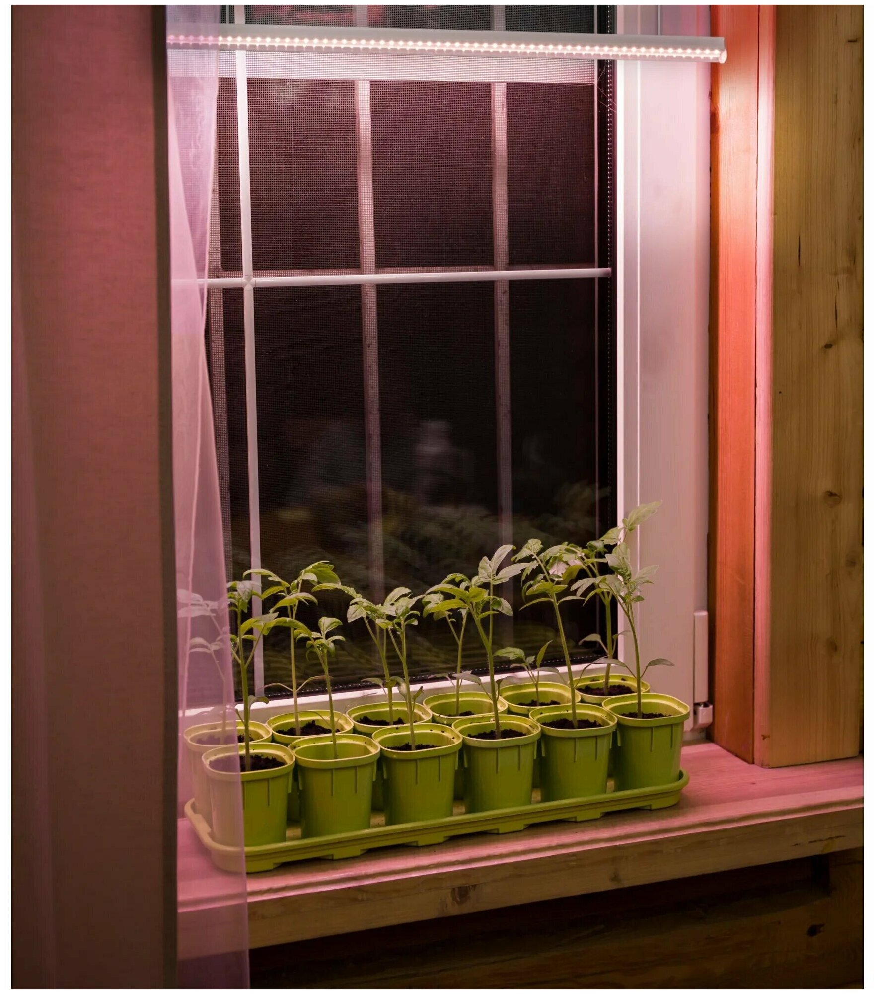 Фитосветильник линейный светодиодный, 1173 мм, 18 Вт, розовый свет, с выключателем, для роста, формирования и плодоношения растений - фотография № 2