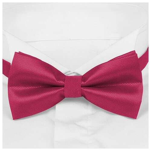 Галстук-бабочка Roberto Cassini BKR-55-1196