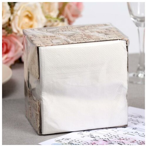 Салфетки бумажные «Перышко», 2 слоя, 24*24 см, 85 шт.