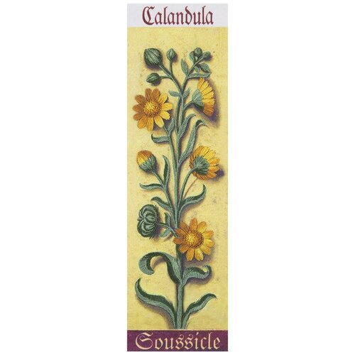 фото Набор для вышивания panna живая картина jk-2120 ( жк-2120 ) ботаникакалендула 1 шт.