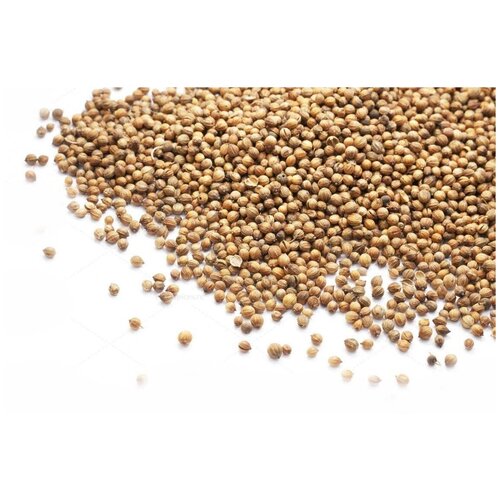 Кориандр семена - 250 гр