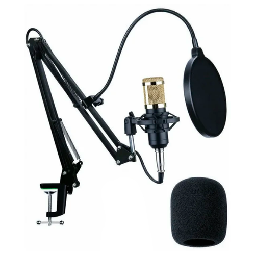 Микрофон, студийный микрофон, студийный конденсаторный микрофон BM-800, черно золотой микрофон студийный конденсаторный bm 800 с подставкой черный