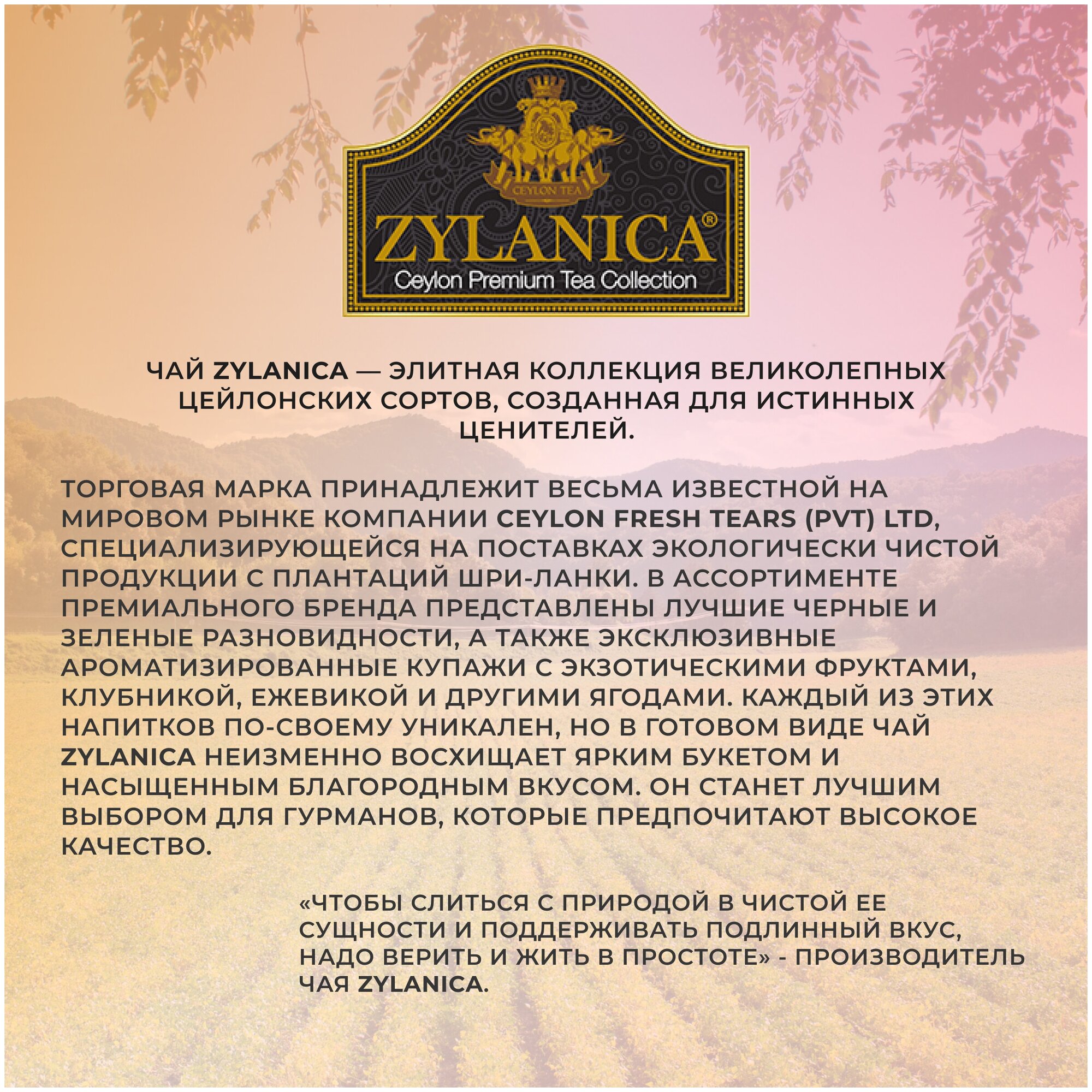 Чай зеленый ZYLANICA / Зеланика Ceylon Premium Collection 100 гр.