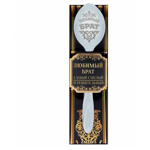 Ложка с гравировкой сувенирная в подарочной коробке Любимый брат 351₽