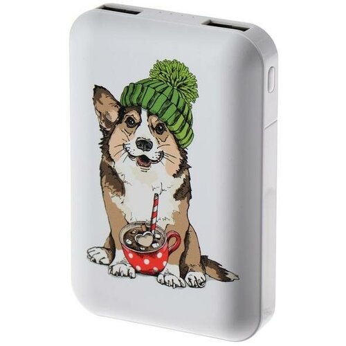 Внешний аккумулятор Ritmix RPB-10007 215900₽