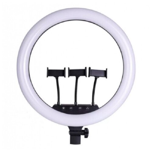 Кольцевая лампа LED Soft Ring Light RL-18 45 см без штатива 300000₽