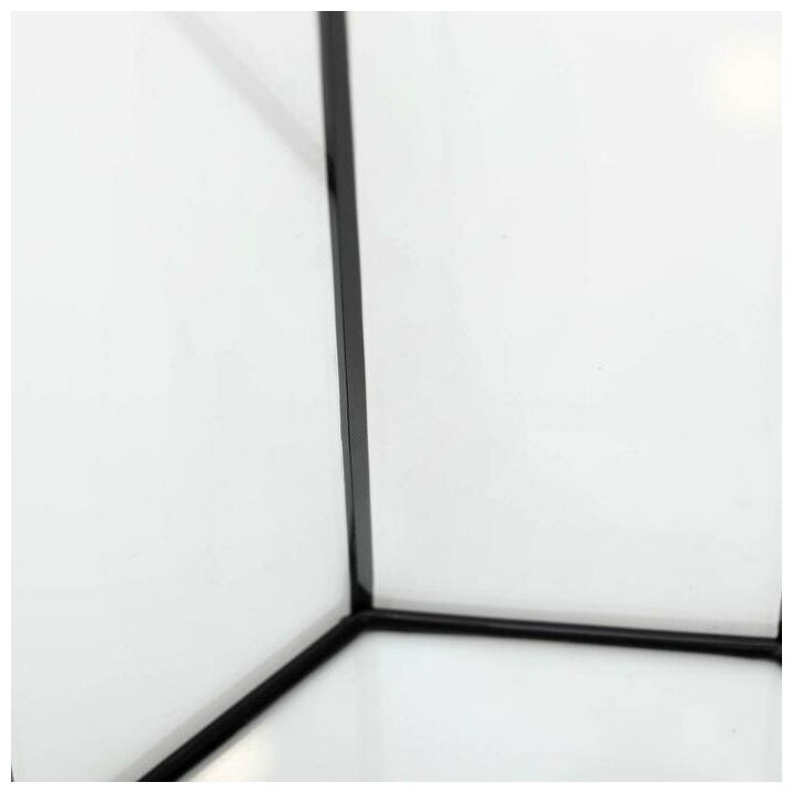 Пижон Аквариум восьмигранный с крышкой, 24 литра, 25 х 25 х 46/50 см, чёрный - фотография № 6