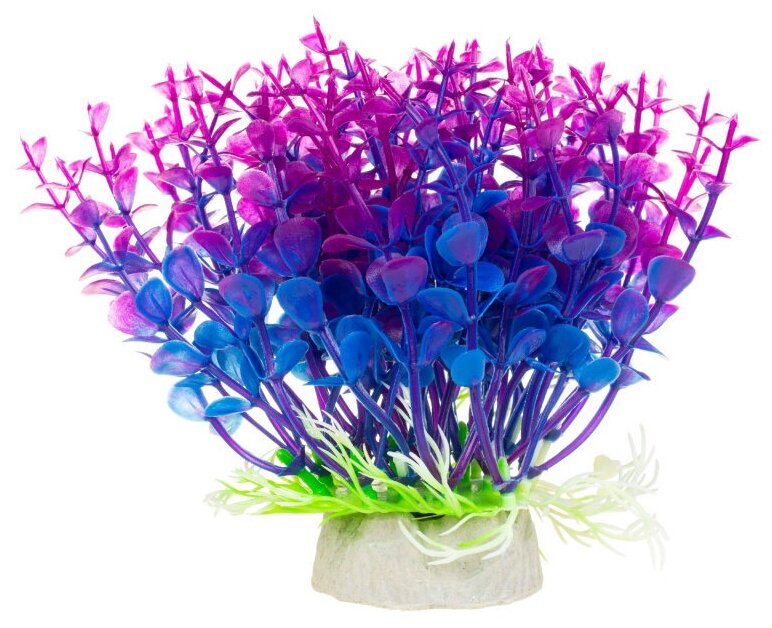 Растение Микрантемум сине-фиолетовый пластик 46см