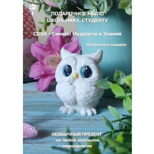 Подарочное мыло ручной работы Сова/ Подарок школьнику на 1 Сентября/ Последний звонок/Выпускной