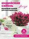 сиреневый/голубой