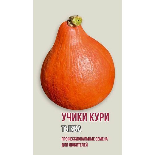 Тыква Учики Кури
