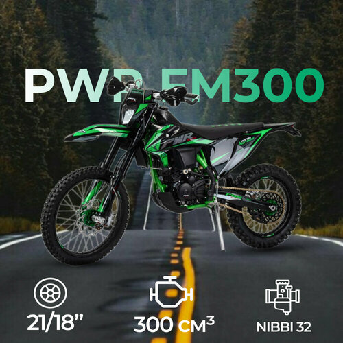 Мотоцикл Кросс 300 PWR FM300 (174MN-3) зеленый