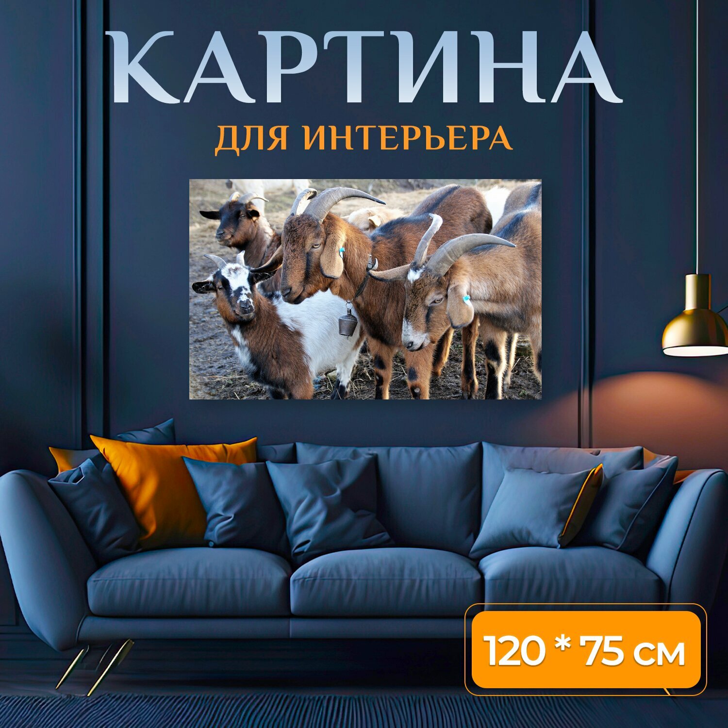 Картина на холсте "Козы, коричневый, разведение" на подрамнике 120х75 см. для интерьера