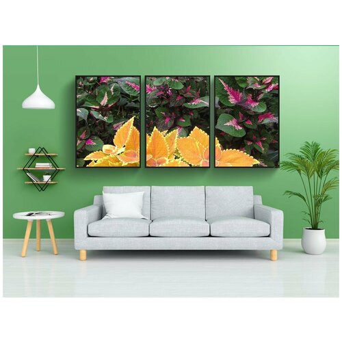 фото Набор модулных постеров для интерьера "крапива цветная, растения, разноцветный" 60x90 см. в тубусе, без рамки lotsprints