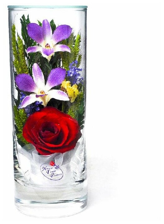 Natural Flower Products Co. Красная роза и орхидея в стекле. (16 x 6 x 6 см)