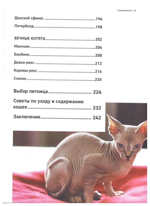 Все породы кошек. Большая иллюстрированная энциклопедия - фото №7