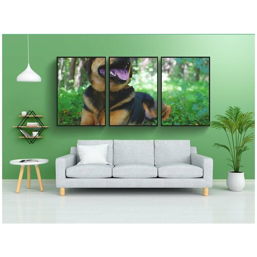 фото Набор модулных постеров для интерьера "собака, гибридный, смешанные породы собак" 60x90 см. в тубусе, без рамки lotsprints