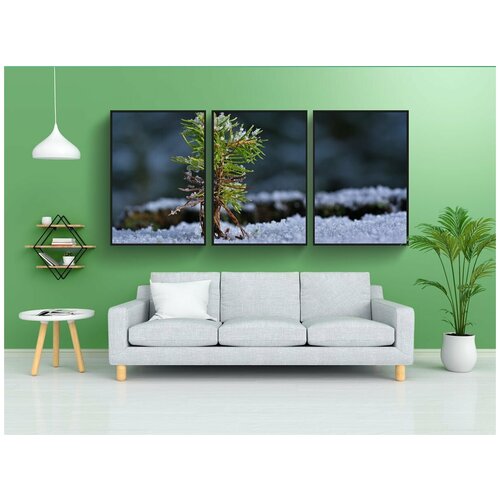 фото Набор модулных постеров для интерьера "зима, саженец, рост" 60x90 см. в тубусе, без рамки lotsprints